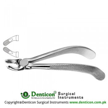English Pattern Tooth Extracting Forcep Fig. 95 (For Upper Left Molars) Stainless Steel, Standard
